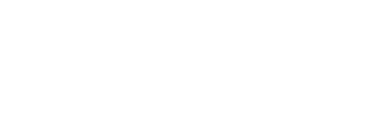 Sleek Logo